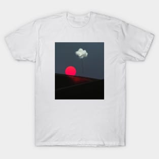 Want to catch a cloud? T-Shirt